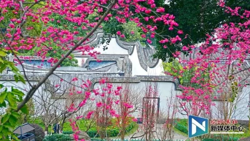 福州地铁4号线沿途美景美食,福州地铁4号线美食打卡