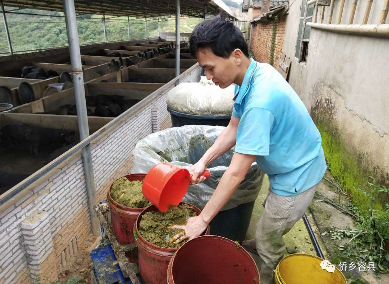 与众不同！玉林这位80后小伙养猪玩出新花样......