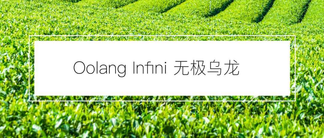浙江首家！周杰伦为她谱曲、李佳琦连拍两个视频种草、让代购跑断腿的香水品牌来杭州了！