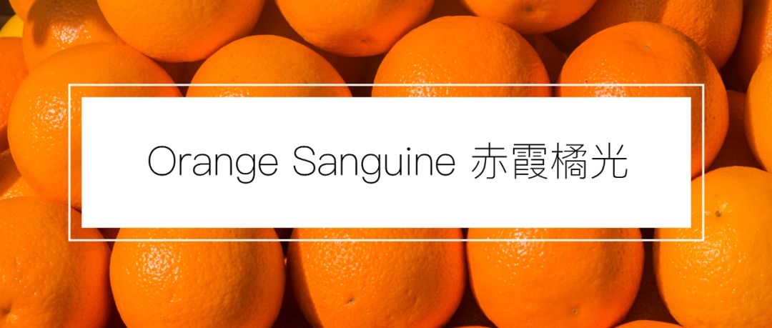 浙江首家！周杰伦为她谱曲、李佳琦连拍两个视频种草、让代购跑断腿的香水品牌来杭州了！