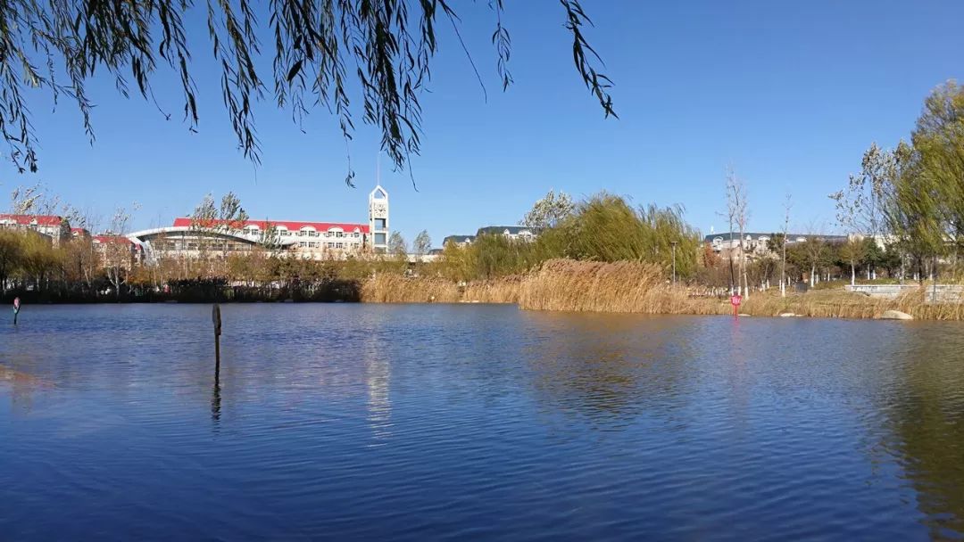 郑州北大新世纪实验学校教师招聘,郑州市科技学院招聘教师公告