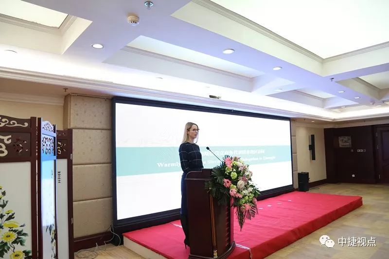 热烈欢迎斯洛伐克商务代表团来我区访问——我区举行中斯企业合作洽谈会