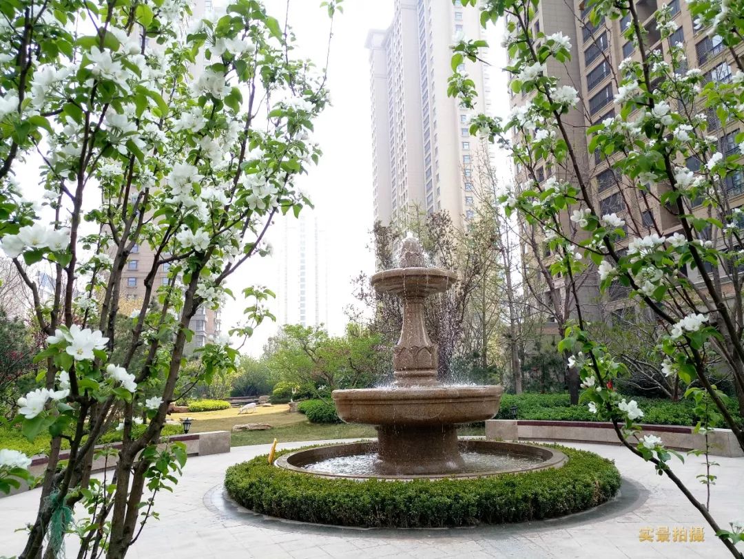 城西新盘首开刚需户型,楼市利好扎堆来袭