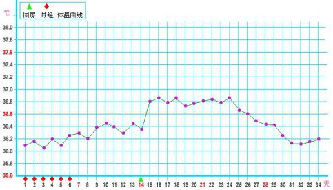 怎么算排卵期和安全期计算器,怎么算排卵期最简单的算法