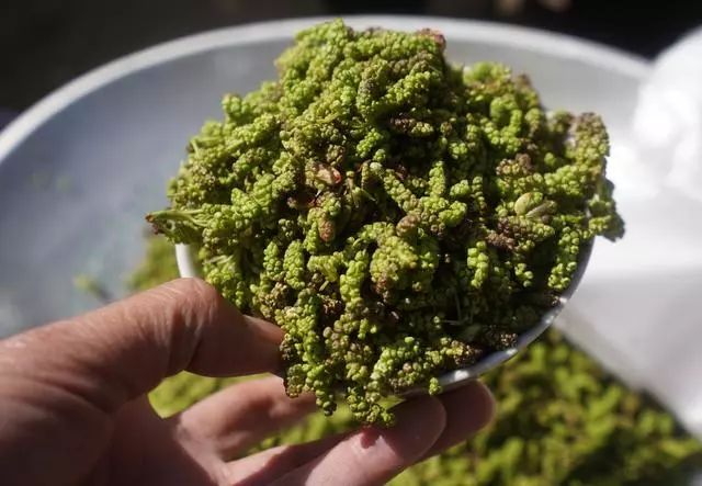 剑川菜市场,剑川县农贸市场买菜