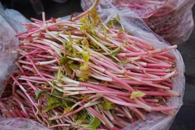 剑川菜市场,剑川县农贸市场买菜