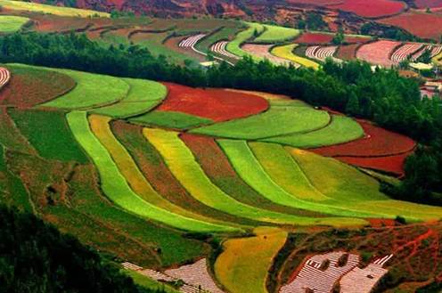 5月东川红土地旅游攻略,旅行记五彩斑斓的东川红土地