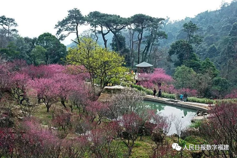 地铁免费体验票,地铁免费乘车优惠