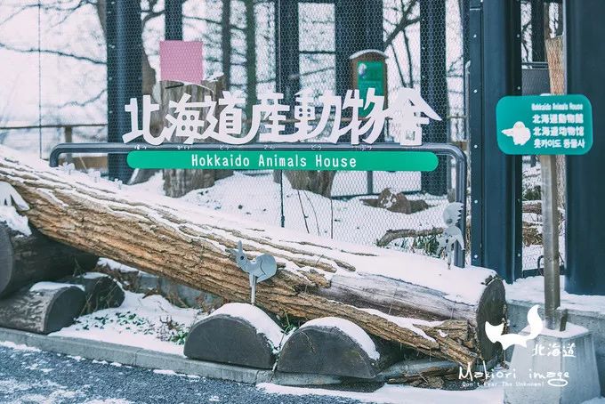 日本确定3月1日开放入境吗,日本开放办理工作签证的最新消息