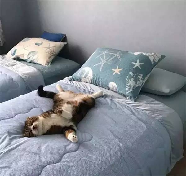 muji和miniso的区别,muji和miniso竞争分析