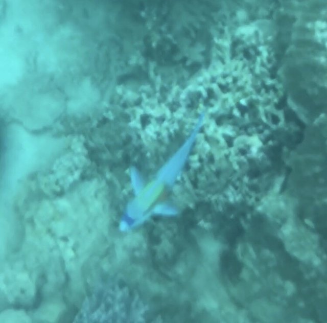 越南越美自由行攻略,去越南最好的攻略