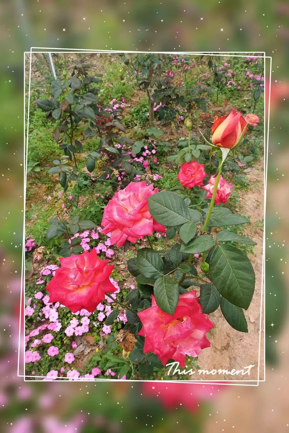 惠来客鸟尾“石笋区”+普宁“柜族小镇”+宝德寺一天游！仅需148元！