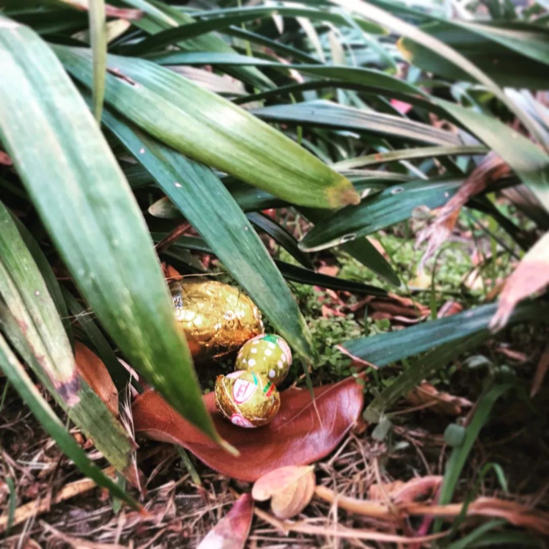 牙医建议孩子吃硬的东西,牙医让吃糖嚼着吃