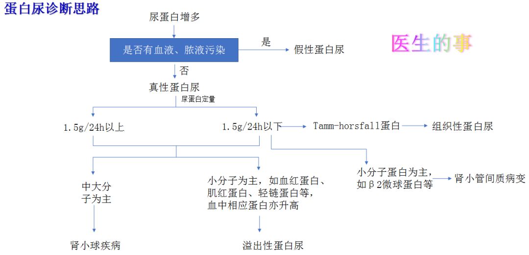 科普肾脏,医学科普出汗和肾脏关系