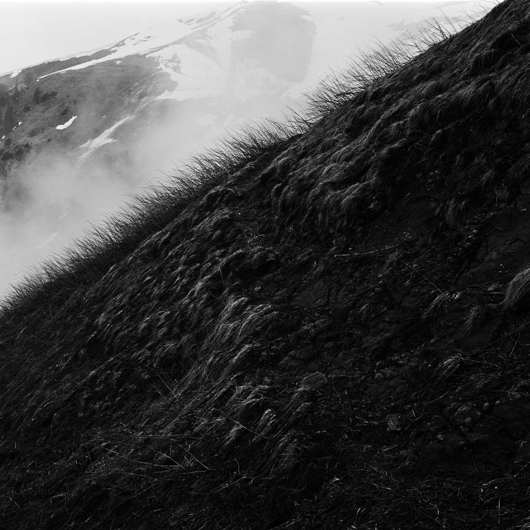 房子在她的镜头里变得生动，来看建筑摄影师埃莱娜30年作品展