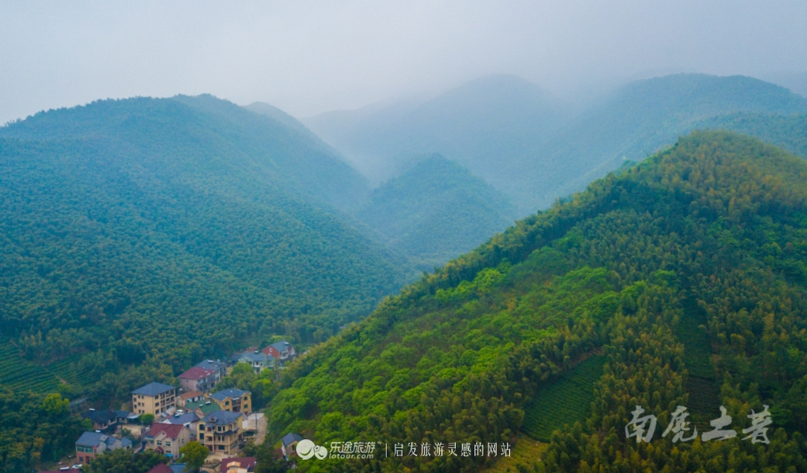 茶话会的形式是什么,中国茶道和日本茶道有什么联系