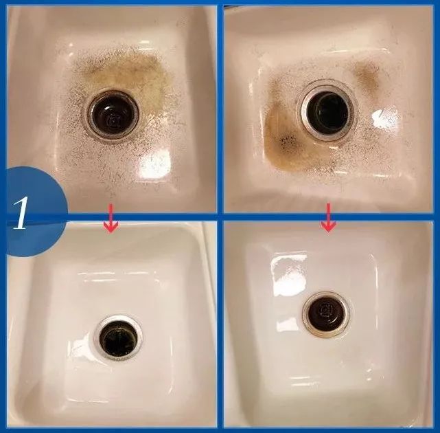 难熬的4月，幸好有它们陪我