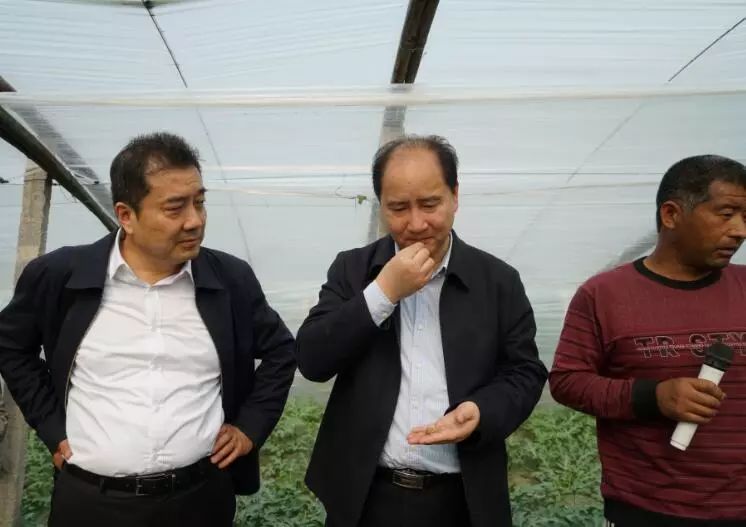 4大核心营销方案,4大核心