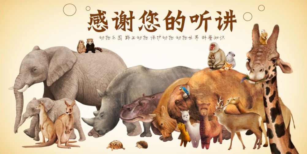 捡到小鸟是国家二级野生保护动物,花坛惊现大鸟国家保护动物