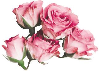 以案释法下一句,以案释法的运用