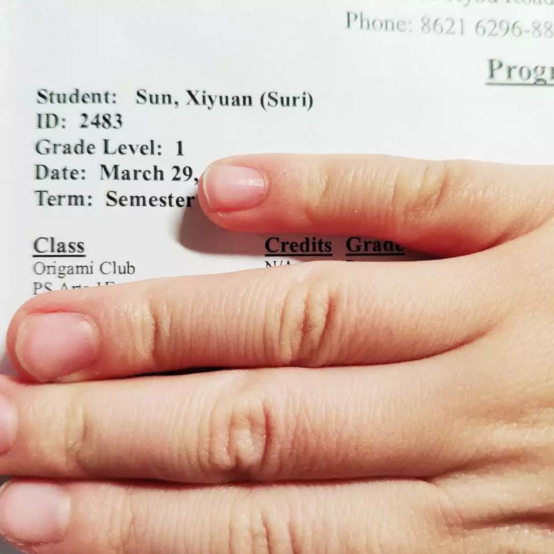 孩子小升初择校的文案,幼升小择校文案