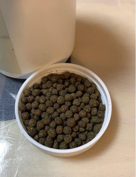 肿瘤科医生秘制水蜜丸,水蜜丸治不孕不育的秘方