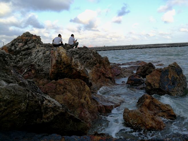 閽撻笨楸艰棰戦槻鍩庢腐,閽撻笨楸奸槻鍩庢腐