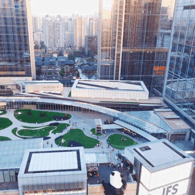 来成都享受美景美食，顺便挼（ruá）个猫可好？