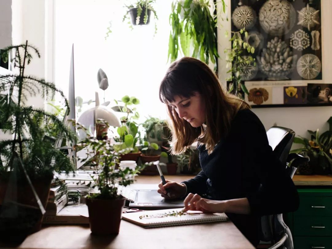 堪称一绝的野生动物画,世界动物画谱