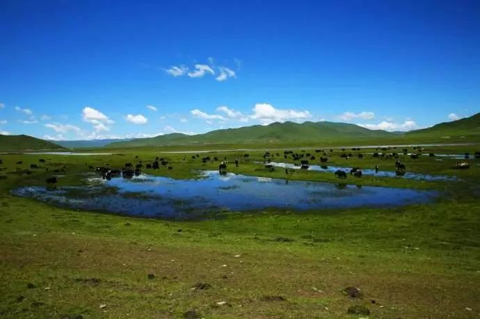 通辽文化旅游季来啦,通辽旅游活动