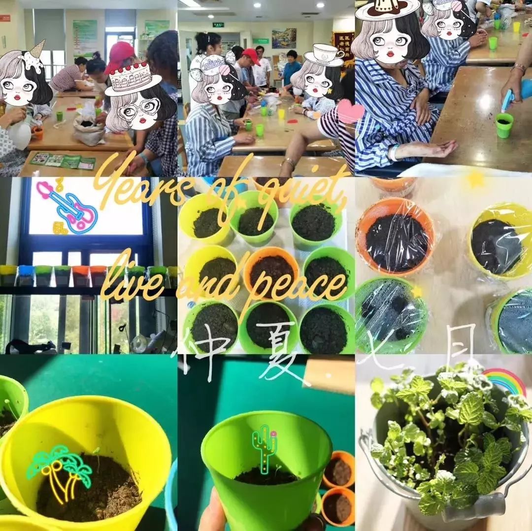 残疾人康复小知识,残疾人精准康复实施方案