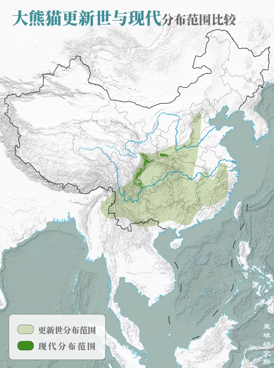 熊猫萌啦,熊猫萌化