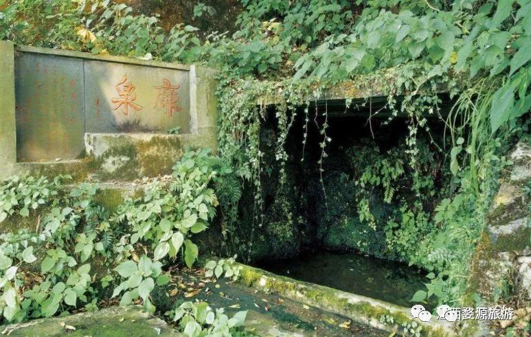 【五一·爽心游江西】婺源最全旅游攻略已为您备好，快来婺源“嗨”翻天！