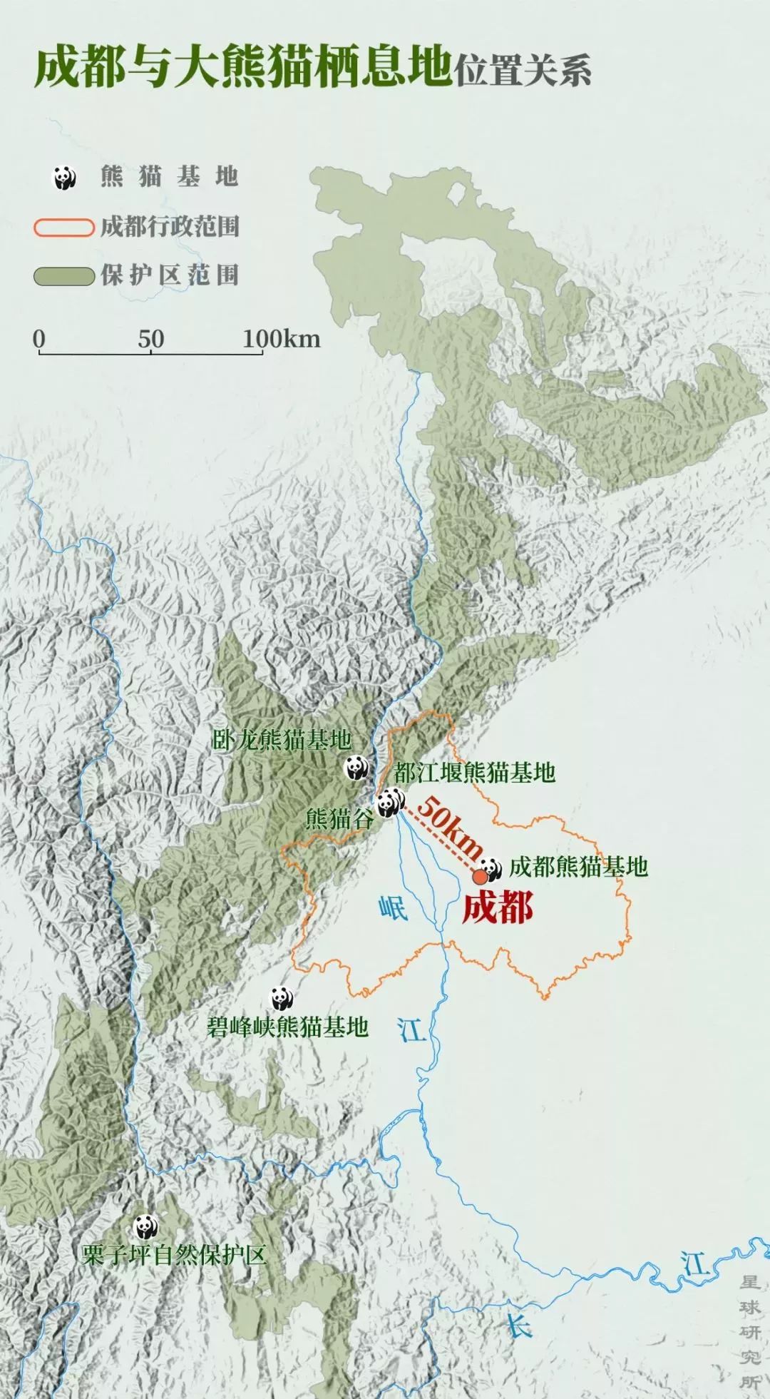 【荐读】熊猫：萌啥子哟，我是要雄起！