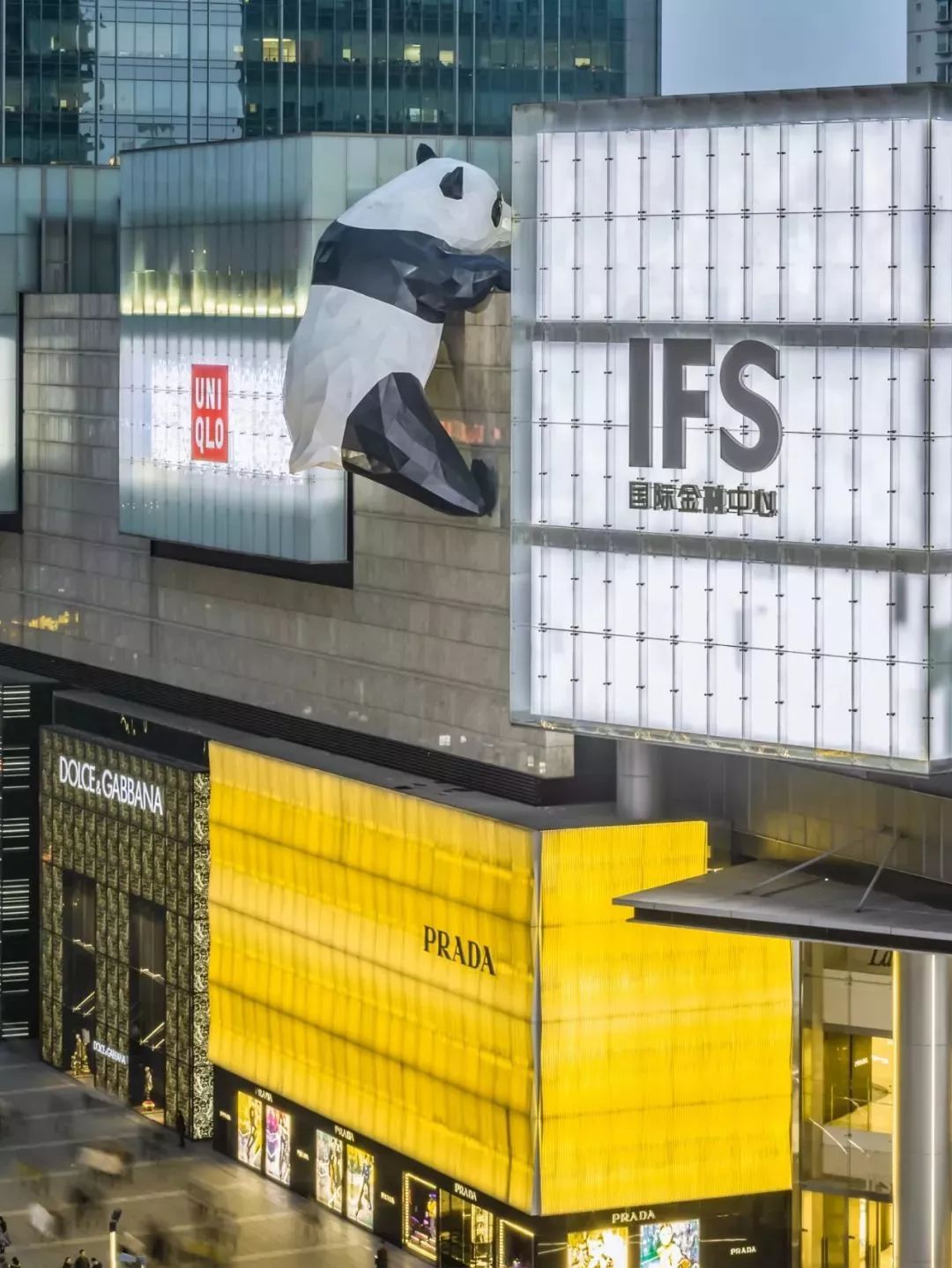 【荐读】熊猫:萌啥子哟,我是要雄起!