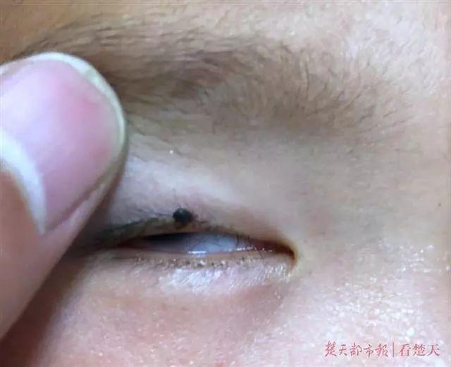 凌晨3点小女孩街头边跑边哭,江苏一女童深夜惊醒哭喊