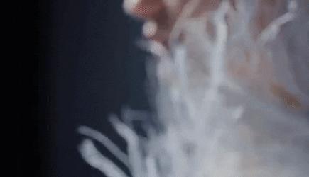 这些神仙级的香奈儿,我们有生之年可能都不会再见到第二次了