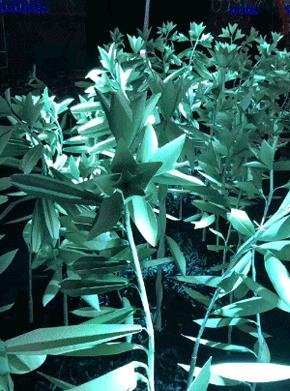 这些神仙级的香奈儿，我们有生之年可能都不会再见到第二次了