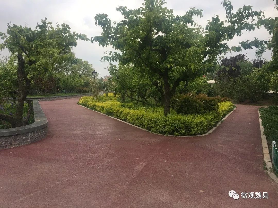 魏县水木清颜美容工作室,邯郸魏县创城规划