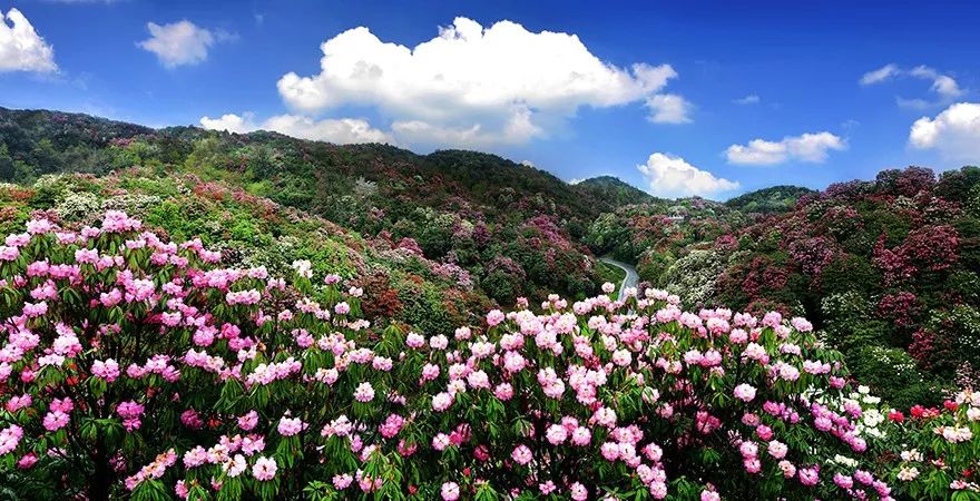 分享|什么?贵州5个公园入选国家级名单,但这两个,连资深玩家都没听说过