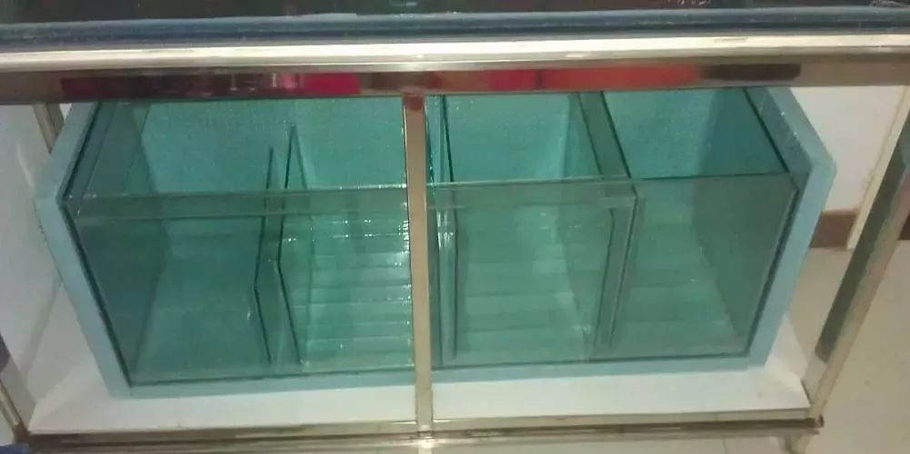 3000块的DIY罗缸，值么？