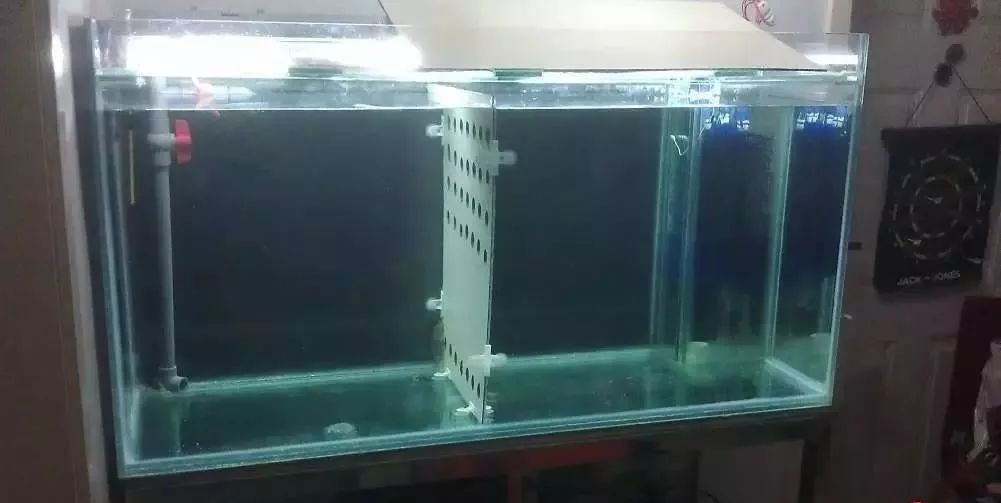 3000块的DIY罗缸，值么？