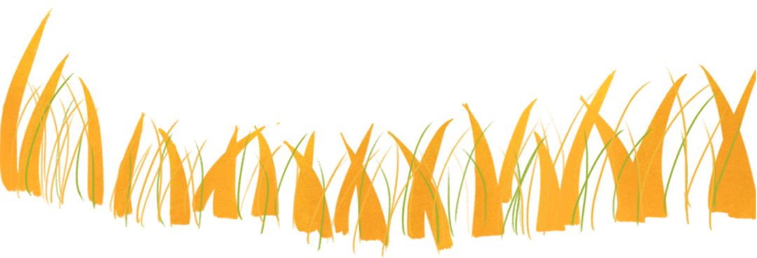 案例|日本最怪百货：店铺超low，却年入70亿，碾压无印良品！