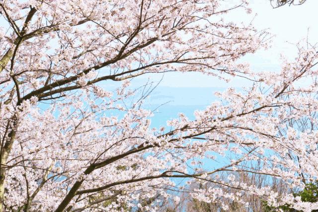 小长假一定要玩得开心,小长假一日游