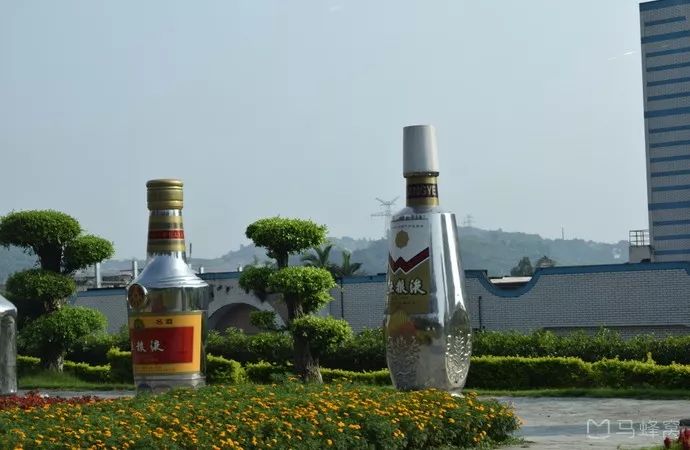 这个五一准备去哪玩,你们五一出游去哪里呢