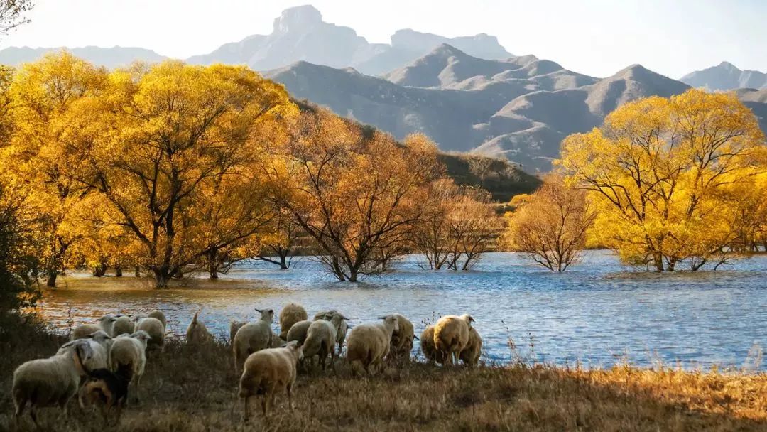 石家庄古镇景点一日游攻略大全,石家庄2022年五一旅游景点推荐
