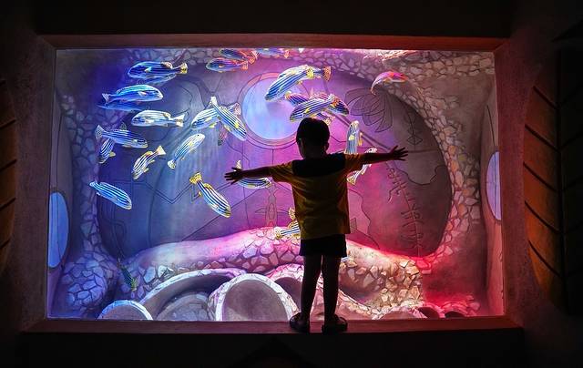 三亚旅游攻略三亚亲子游玩,暑假带孩子自驾三亚攻略