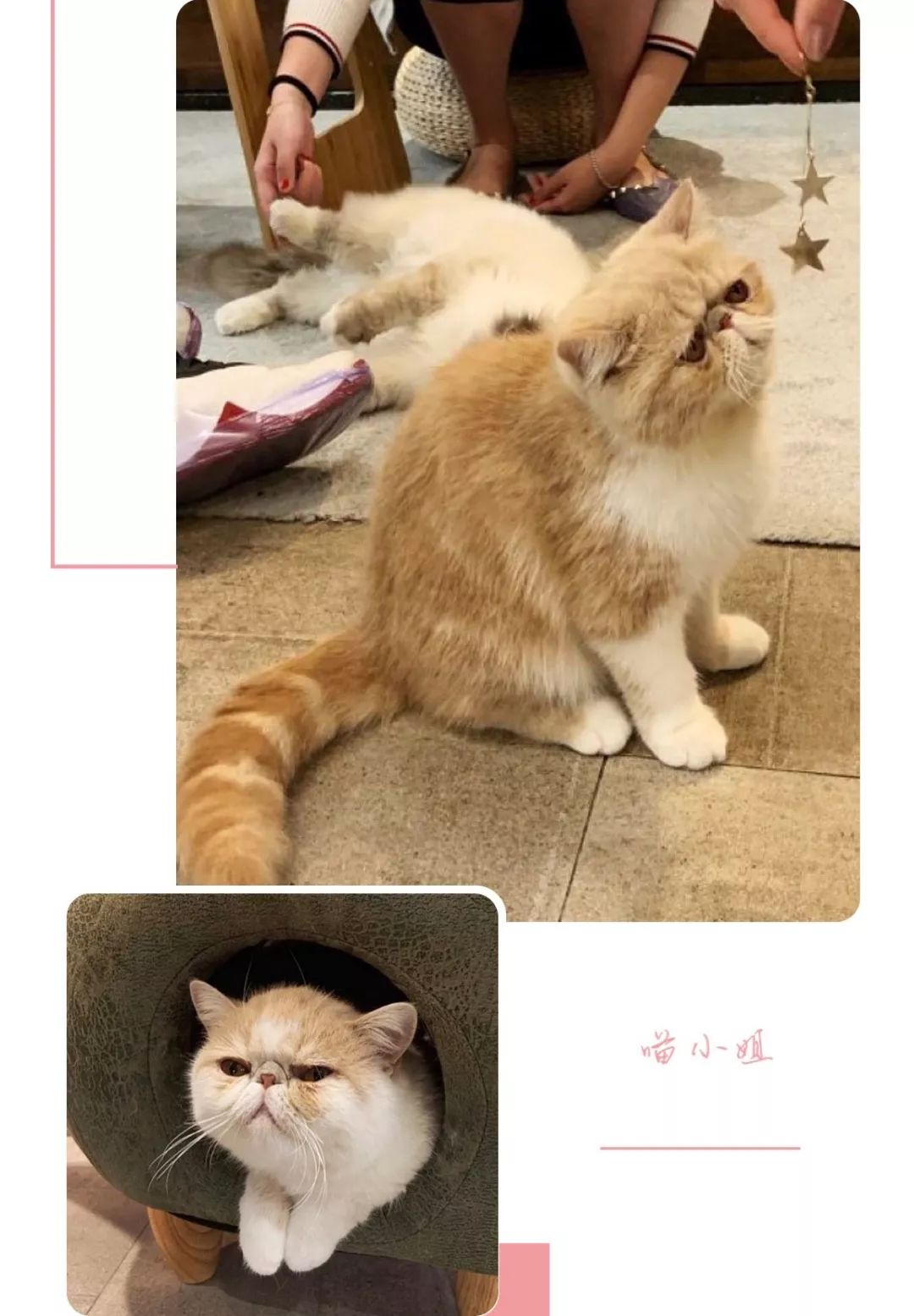 假期除了看电影逛街还可以干啥,假期千万不要出去玩的地方