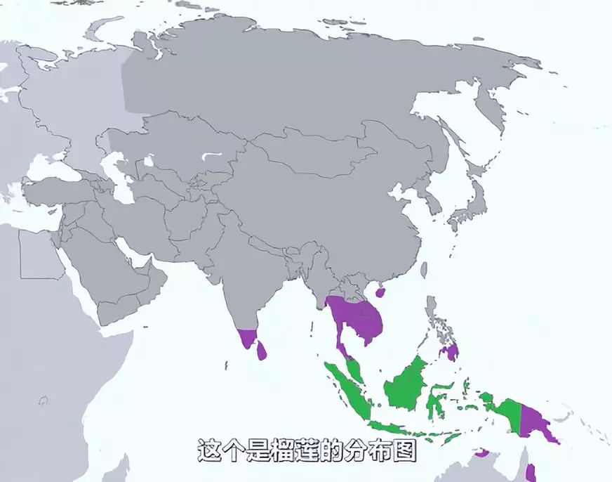 喜欢吃榴莲的人有钱,真正爱吃水果的人