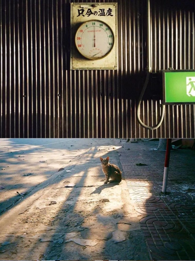 入坑手动胶片机的注意事项,比较好的胶片机推荐